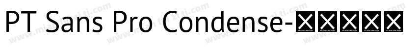 PT Sans Pro Condense字体转换